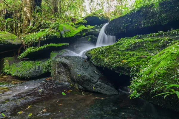 Paesaggio di cascata nella foresta pluviale profonda dell'altopiano di Bolaven, C — Foto Stock