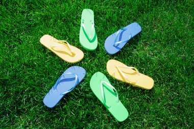 antika arka plan, Noel köknar