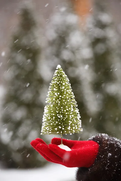 Рождественская елка в руке на фоне снега — стоковое фото