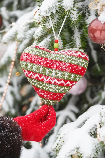 Вязание сердца на еловой ветке с рукой в красной перчатке Стоковое Фото