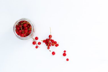 Cam can, taze kırmızı kuş üzümü