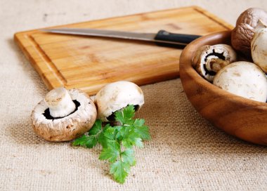 Mantar kesme masasında, önden görünüm