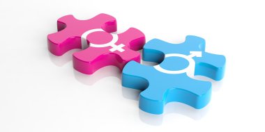 3D render bulmaca adam kadın sembolü