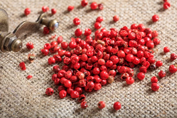 Kurutulmuş kırmızı biber baharat — Stok fotoğraf