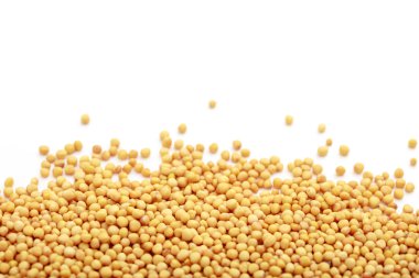 Beyaz zemin üzerine hardal