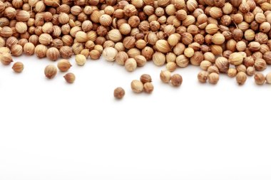 beyaz zemin üzerine kişniş