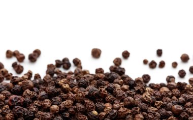 Beyaz arkaplanda Kara Biber