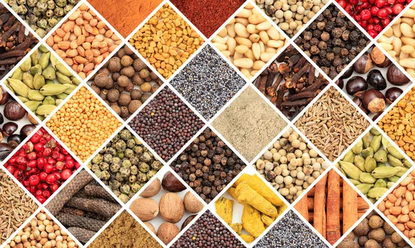 Various spice seeds collage — Stock Photo, Image