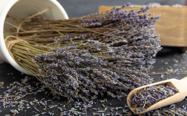 Lavanta grup siyah arka plan üzerine kurutulmuş