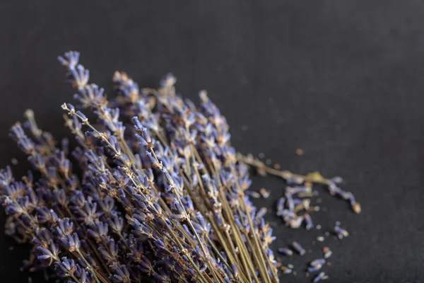 Lavanda monte no fundo preto — Fotografia de Stock