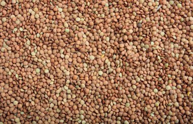 Kahverengi mercimek tam arka plan