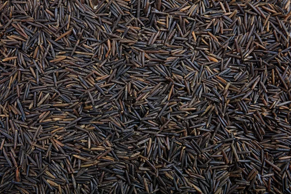 黑色的野生稻背景 — 图库照片