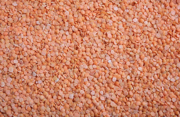 オレンジ色のレンズ豆フル ・ バック グラウンド — ストック写真