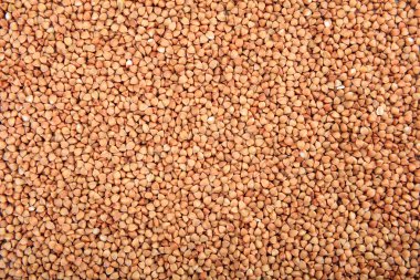 Ham buğday dolu arka plan