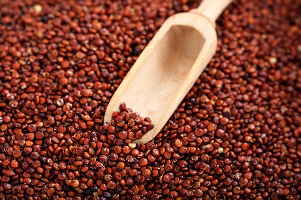 Drewniana miarka i surowego quinoa — Zdjęcie stockowe