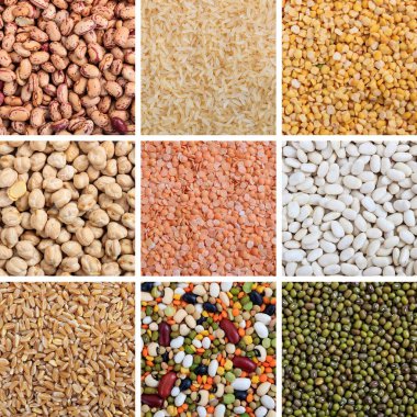 Çeşitli pirinç ve baklagiller kolaj