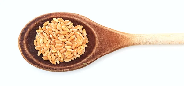 Semillas de trigo en una cuchara de madera — Foto de Stock