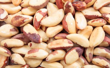 Arka plan olarak Brezilya fıstığı