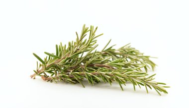 beyaz zemin üzerine biberiye dal