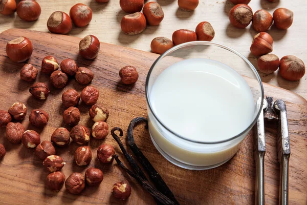 Vegane Milch aus Haselnüssen — Stockfoto
