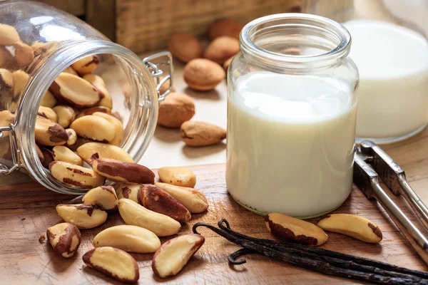 Vegan milk from brazil nuts — Stock Photo, Image