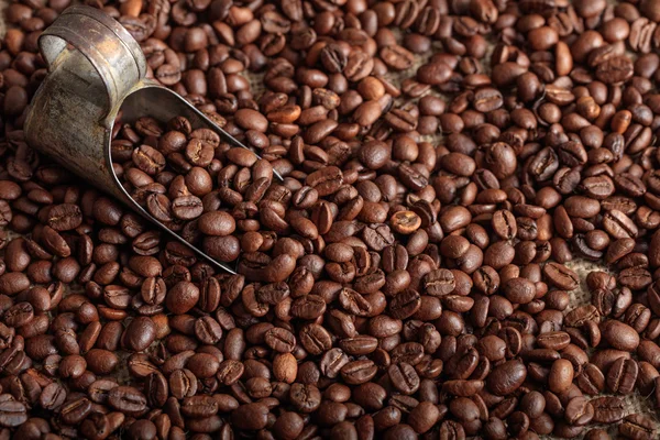 Coffee beans background and a scoop — Stock Photo, Image