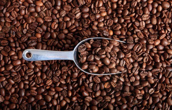 커피 콩 배경 및 특 종 — 스톡 사진