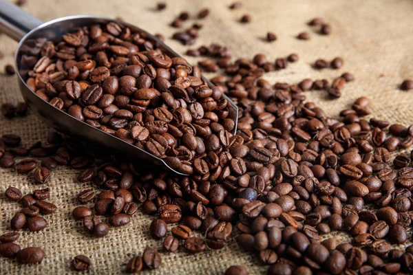 Kaffeebohnen und eine Metallschaufel auf einem Büschel — Stockfoto