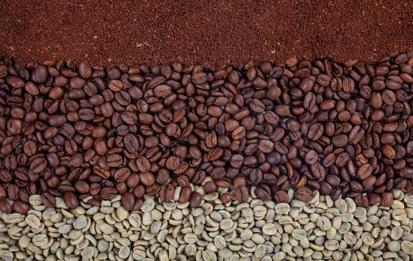 Zöld és sötétkék kávébab és őrölt kávé — Stock Fotó