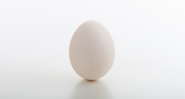 Beyaz arka plan üzerinde izole yumurta