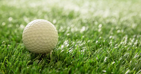 Golfball Auf Grünem Rasen Sonnenreflexe Nahsicht Golfsport Und Clubkonzept Kopierraum — Stockfoto
