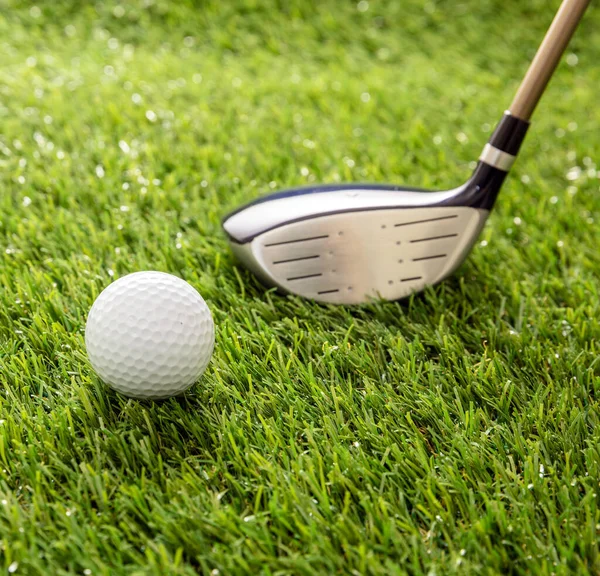 Golfklubba Redo Att Träffa Boll Grön Bana Gräsmatta Solljus Reflektioner — Stockfoto