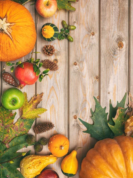 Thanksgiving Flat Lay Colorful Pumpkins Fruits Fall Leaves Rustic Wooden — Stock Photo, Image