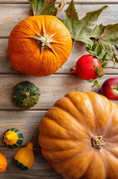 Thanksgiving Flat Lay Colorful Pumpkins Fruits Fall Leaves Rustic Wooden — Stock Photo, Image