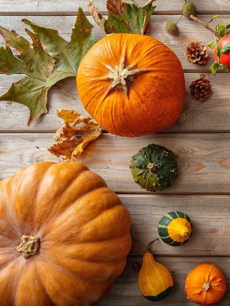 Thanksgiving Flat Lay Colorful Pumpkins Fruits Fall Leaves Rustic Wooden — Stock Photo, Image