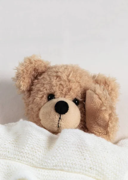 Hoofdpijn Slapeloosheid Schattig Teddy Bed Zijn Hoofd Vasthoudend Bedekt Met — Stockfoto