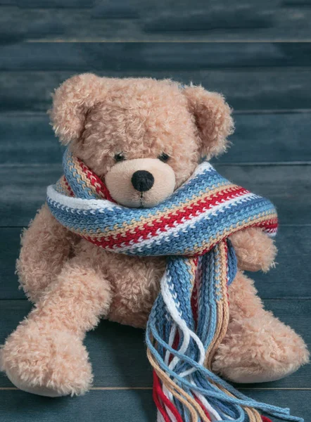 Inverno Freddo Solitudine Teddy Con Sciarpa Seduta Sola Una Panchina — Foto Stock