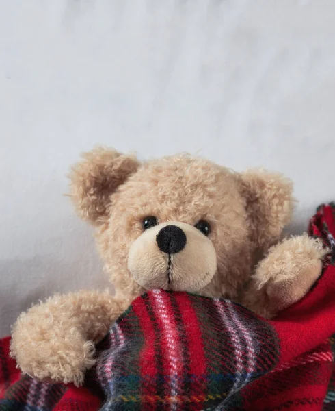 Детям Пора Спать Милый Тедди Покрытый Теплым Одеялом Отдыхающий Постели — стоковое фото