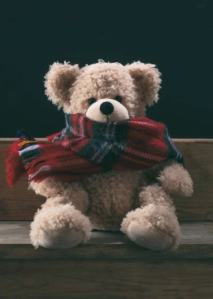 Winter Kälte Einsamkeit Teddy Mit Schal Sitzt Allein Auf Einer — Stockfoto