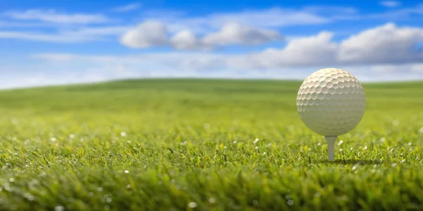 Golfball Tee Pronto Para Ser Filmado Grama Gramado Verde Fundo — Fotografia de Stock