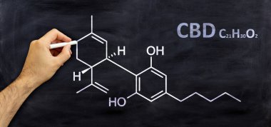 Cannabidiol, cbd yapısal kimyasal formül, tahtaya çizim, öğrenci odası arka planı. Esrar ilaç molekülü