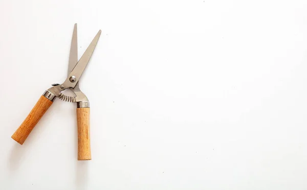 Forbici Con Manico Legno Bordi Rotondi Sicurezza Isolati Sfondo Bianco — Foto Stock