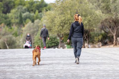Atina Yunanistan. 22 Kasım 2020. COVID 19 'u olan genç bir kadın şehir merkezinde Areopagitou Caddesi' nde köpekle yürürken koruyucu maske takıyor. Coronavirus kilitleme günleri.
