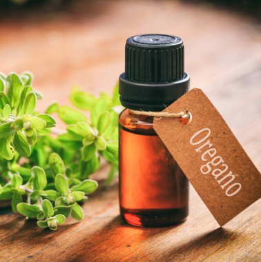 Taze kekik yaprakları ve ahşap arka planda gerekli yağ. Origanum vulgare ayrıca yabani marjoram olarak da bilinir.