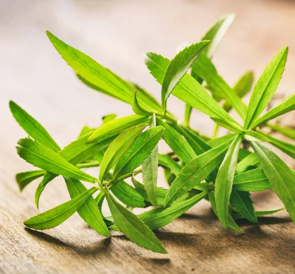 Frische Estragonblätter Auf Hölzernem Hintergrund Nahaufnahme Artemisia Dracunculus Auch Als — Stockfoto