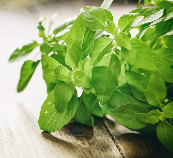 Hojas Albahaca Fresca Sobre Fondo Madera Vista Cerca Ocimum Basilicum — Foto de Stock