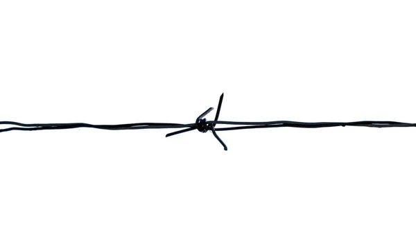 Barbed Wire Isolated Cutout White Background Close View Horizontal Metal — Stock Photo, Image