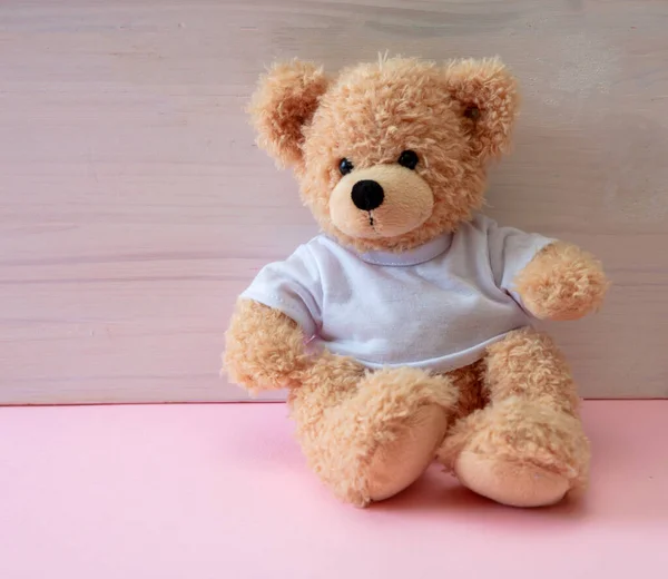 Teddymädchen Sitzt Einem Leeren Raum Pastellrosa Fußboden Weißer Holzwandhintergrund Kind — Stockfoto