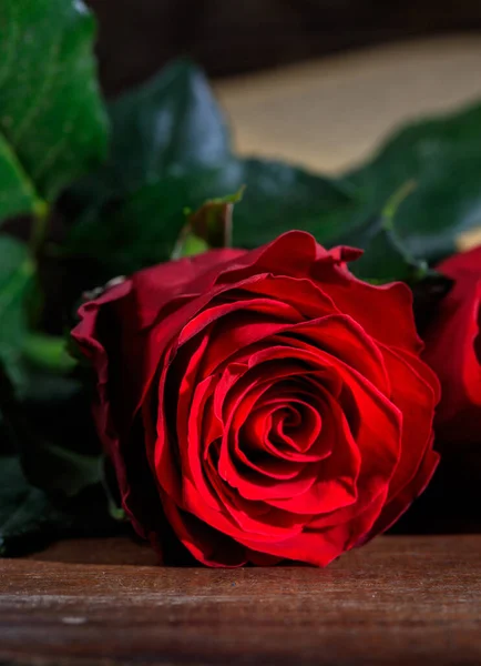 Romantyczna Koncepcja Czerwona Róża Drewnie Ciemne Tło Świeży Kwiat Symbolu — Zdjęcie stockowe