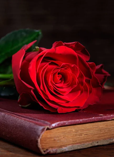 Romantikus Koncepció Piros Rózsa Vintage Zárt Könyv Sötét Háttér Friss — Stock Fotó